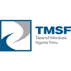 TMSF